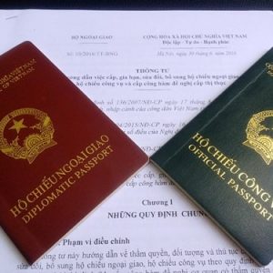 Hậu quả của vụ bắt cóc Trịnh Xuân Thanh: Đức đình chỉ việc miễn visa cho người mang hộ chiếu ngoại giao Việt Nam?