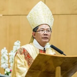 Giám mục Úc gốc Việt lên tiếng về vụ Lộc Hưng