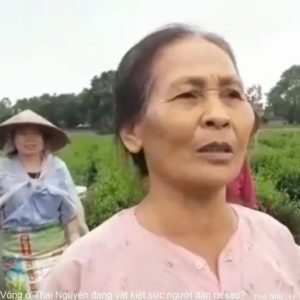 BOT XÓM Làng Vòng ở Thái Nguyên đang vắt kiệt sức người nông dân ra sao?
