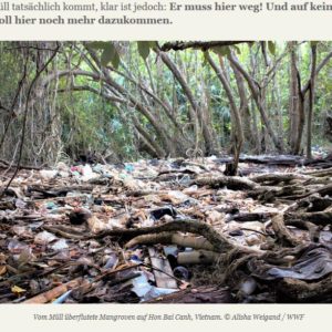 Rác thải nhựa: Sự thật đáng buồn ở Việt Nam