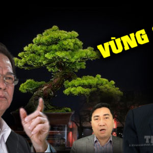 Kỳ lạ – Nguyễn Phú Trọng chống tham nhũng kiểu “tỉa cành” cho cây kiểng