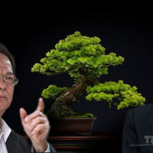 Tổng bí thư Nguyễn Phú Trọng chống tham nhũng kiểu “tỉa cành” cho cây kiểng