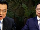 Những rủi ro đối với việc xuất khẩu sầu riêng sang Trung Quốc