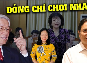 Vì sao quốc tế nhận định Bản chất vụ bà Nguyễn Thị Thanh Nhàn AIC là đấu đá chính trị