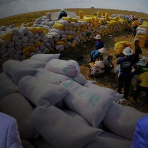 Xây tượng đài nghìn tỷ – 17 địa phương đề nghị hỗ trợ gạo cứu đói dịp Tết âm lịch
