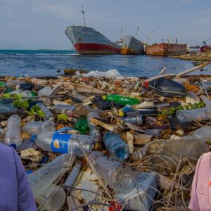Người Việt “ăn nhựa” qua đường hải sản