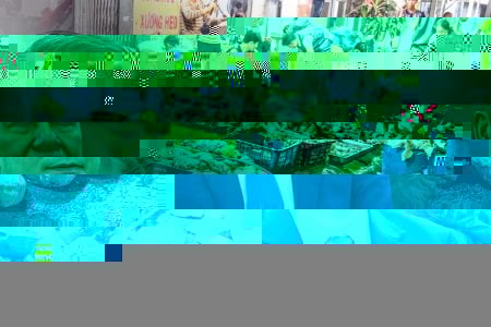 CỤC AN TOÀN THỰC PHẨM NHƯNG TIẾP TAY CHO THỰC PHẨM KHÔNG AN TOÀN