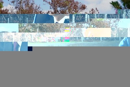 RỪNG THÔNG ĐẮK ĐOA CHẾT DẦN SAU DỰ ÁN SÂN GOLF FLC BỎ HOANG