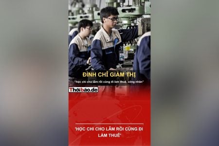 ‘HỌC CHI CHO LẮM RỒI CŨNG ĐI LÀM THUÊ’