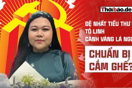ĐỆ NHẤT TIỂU THƯ TÔ LINH – CÀNH VÀNG LÁ NGỌC CHUẨN BỊ CẮM GHẾ?