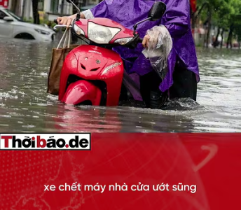 TRẦN SỸ THANH TRỒI LÊN SAU LŨ, MỞ MÀN MÀN “CHÉM GIÓ”