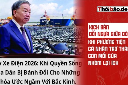 Kịch Bản „Đổi Ngựa Giữa Dòng“: Khi Phương Tiện Cá Nhân Trở Thành Con Mồi Của Nhóm Lợi Ích.