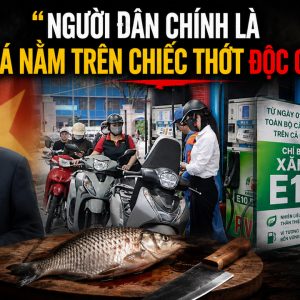 Người dân chính là con cá nằm trên chiếc thớt độc quyền