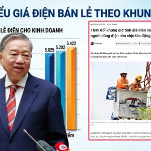 Không có lựa chọn – Khi giá điện trở thành mệnh lệnh một chiều.