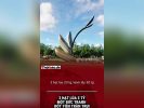50 năm Sài Gòn mất tên.