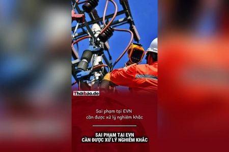 Sai phạm tại EVN cần được xử lý nghiêm khắc