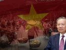 Tung trò mị dân, Tô Tổng lại đi „ vồ ếch“