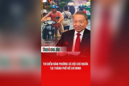 Thí điểm năm phường xã hội chủ nghĩa tại Thành phố Hồ Chí Minh