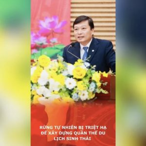 Rừng tự nhiên bị triệt hạ để xây dựng quần thể du lịch sinh thái