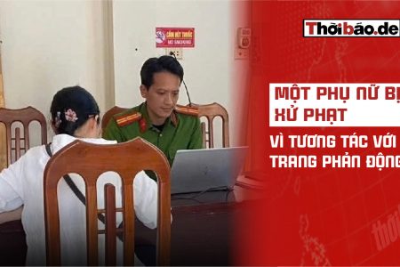 Một phụ nữ bị xử phạt vì tương tác với trang phản động