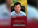 Cá độ bóng đá: Chủ tịch xã Thanh Hóa bị khai trừ Đảng